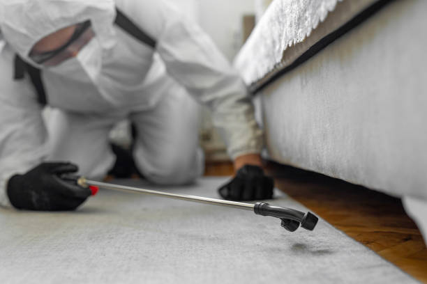 Professional Termite Control technician working in Steele, AL
