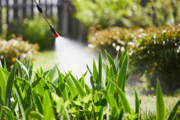 24/7 Emergency Termite Control experts in Steele, AL