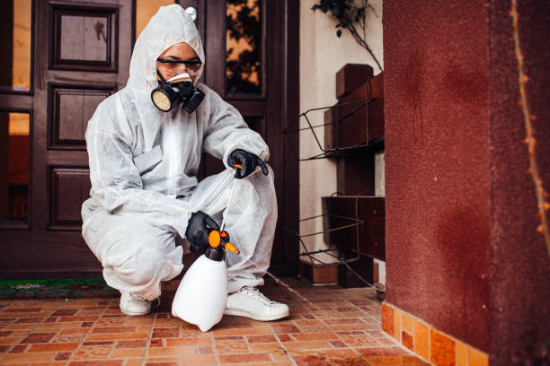Reliable Termite Control contractor in Steele, AL by Nex Pest Control